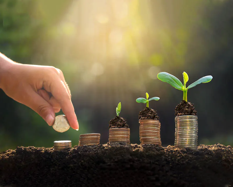DAEVO - Dostan Agriculture, Educational & Vocational Organization